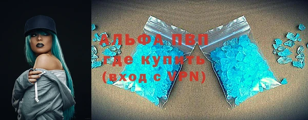 шишки Аркадак